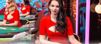 UG89 Bingo bonus promosi kartu gratis pemain baru Indonesia